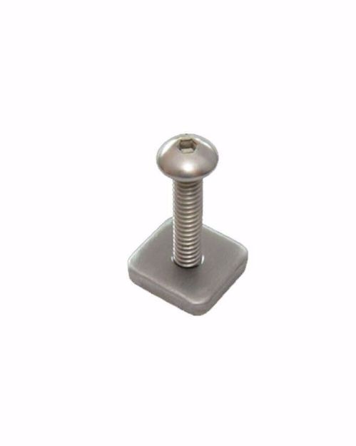 fcs screw and plate